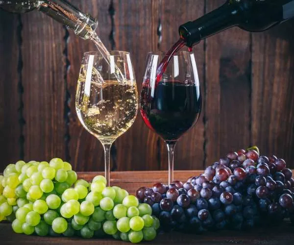 Vinos Dulces: Tipos, características y cómo elegir el mejor para ti