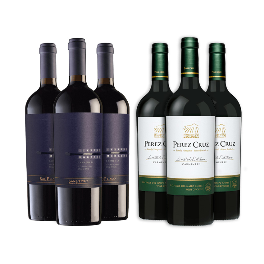 3 Tierras Moradas Carmenere + 3 Perez Cruz Carmenere