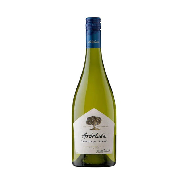 Vino Arboleda Sauvignon Blanc 750cc