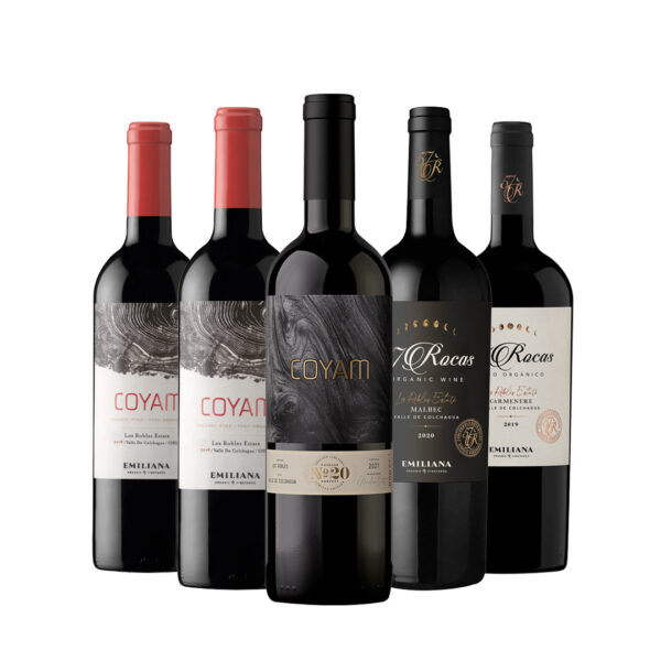 1 Coyam 20 años 750cc + 2 Coyam 2021 750cc + 57 Rocas Malbec 750cc + 57 Rocas Carmenere 750cc