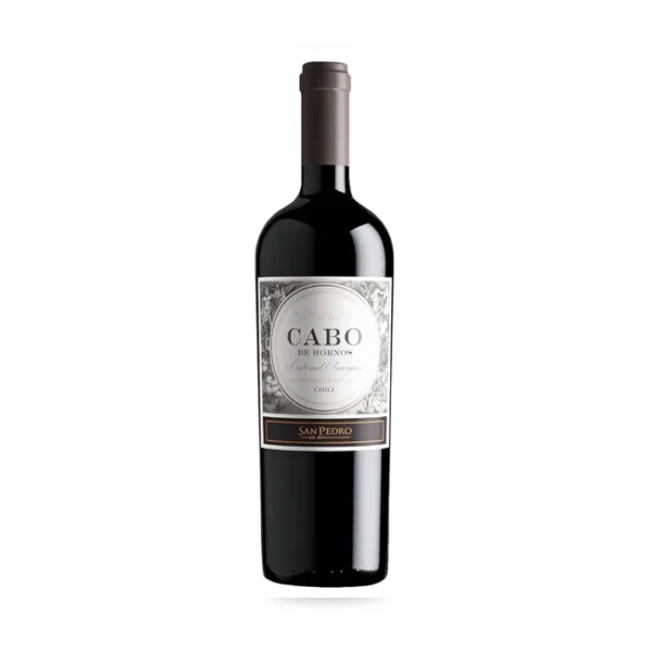 Vino Cabo de Hornos Cabernet Sauvignon 750cc | Viña San Pedro