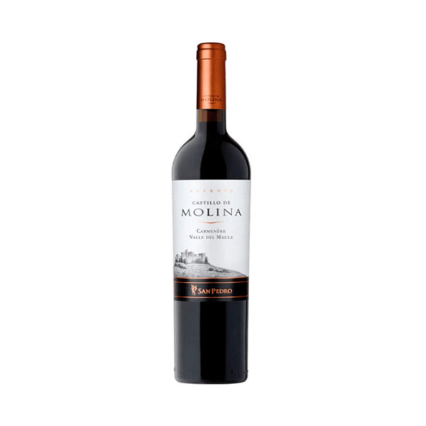 Vino Castillo de Molina Carmenere 750cc