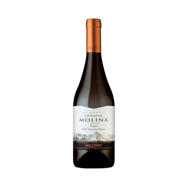 Vino Castillo Molina Syrah  750cc