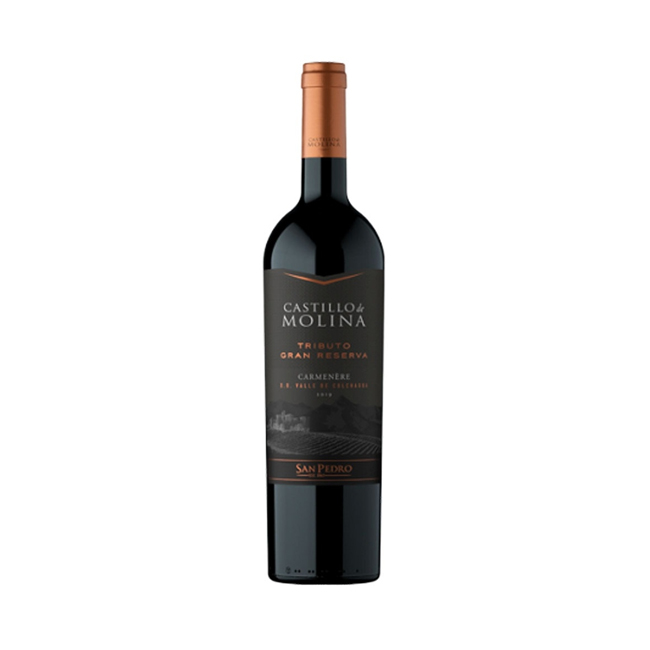 Vino Castillo Molina Tributo Carmenere  750cc