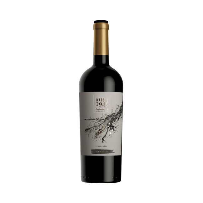 Vino Luz Carmenere Clos de Luz 750cc