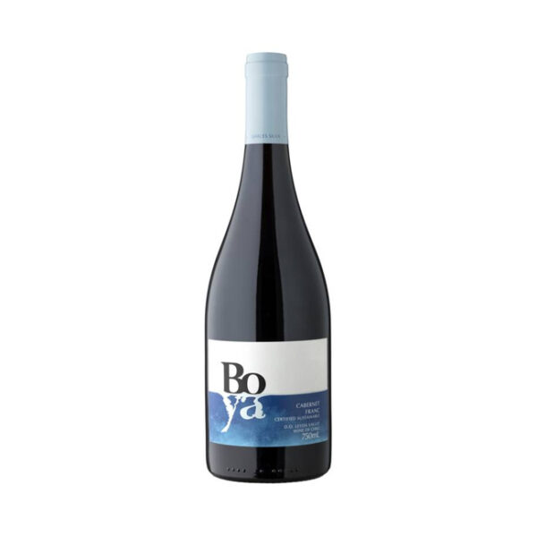 Vino G.Silva Boya Sauvignon Cabernet Franc 750cc