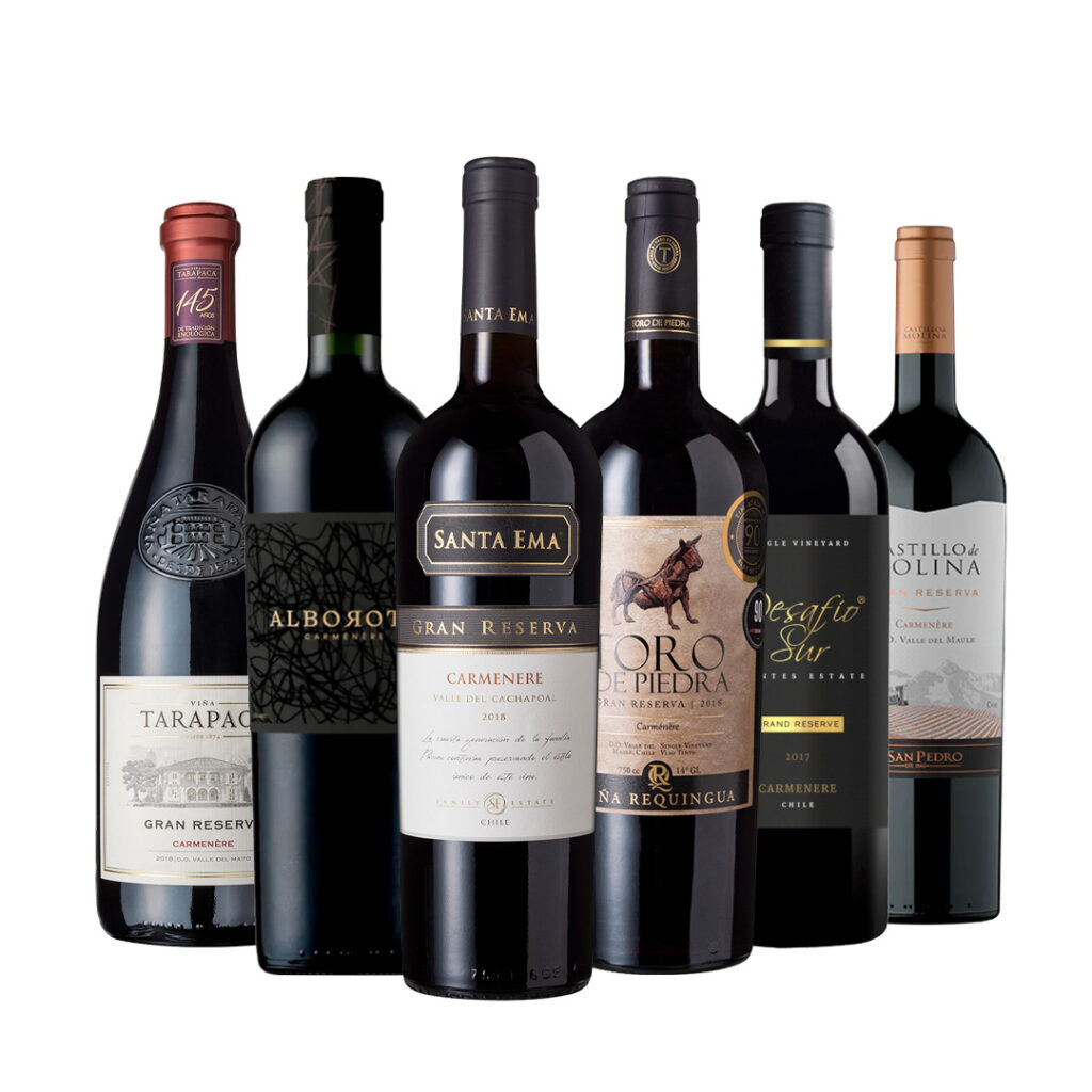 Caja Mixta Vinos Carmenere Opción 1