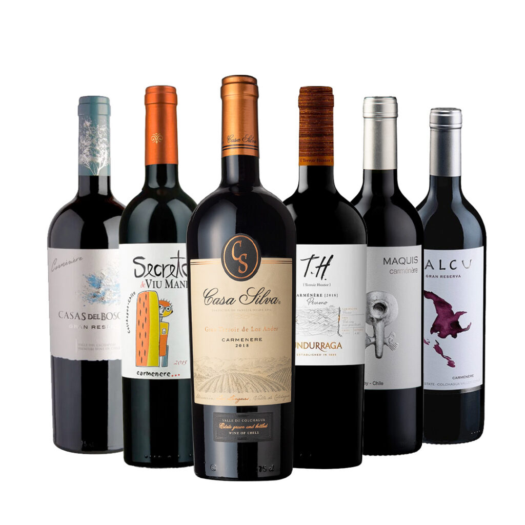 Caja Mixta Vinos Carmenere Opción 2