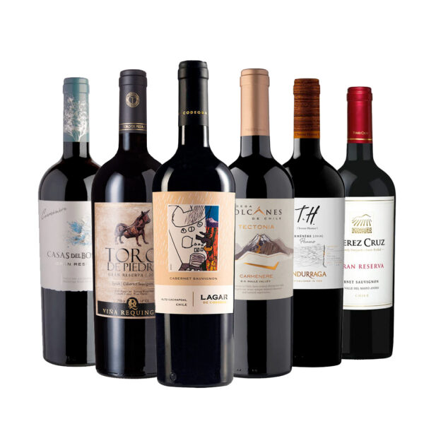 Caja de Vinos Mix de Cepas Opción 1