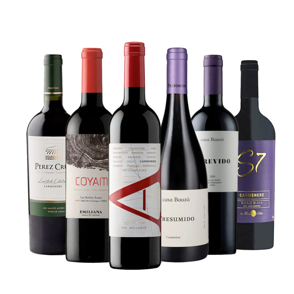 Caja de Vinos Carmenere - Ensamblaje