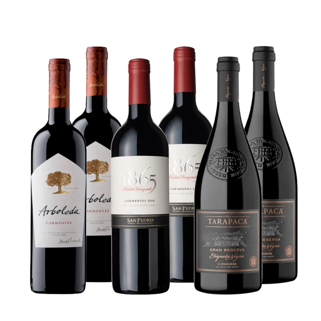 Caja Mixta Carmenere (6 unidades)