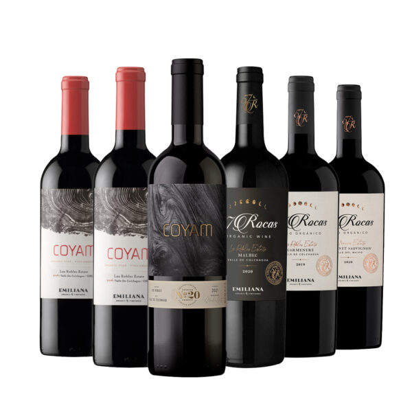 1 Coyam 20 años + 2 Coyam 2021 + 57 Rocas Malbec + 57 Rocas Carmenere + 57 Rocas Cabernet
