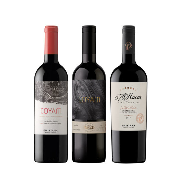 1 Coyam 20 años 750cc + 1 Coyam 2021 750cc + 57 Rocas Carmenere 750cc