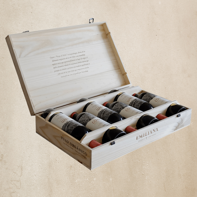 Vertical de Vinos Coyam 2007- 2008 - 2011 - 2015 - 2018 - 2019