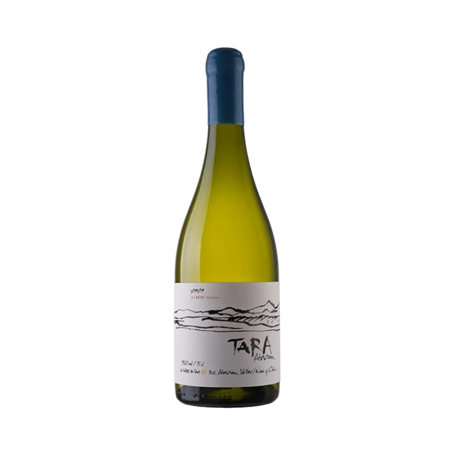 Vino Tara Ventisquero Sauvignon Blanc 750cc