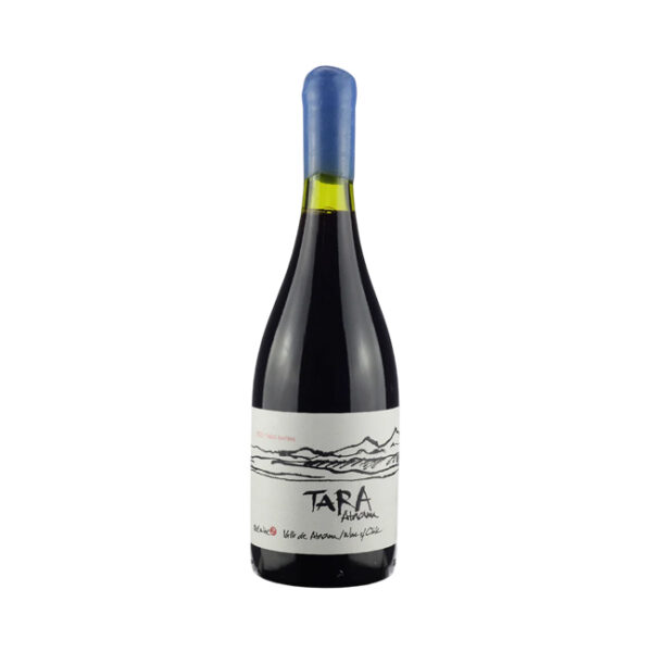 Vino Tara Ventisquero Syrah 750cc