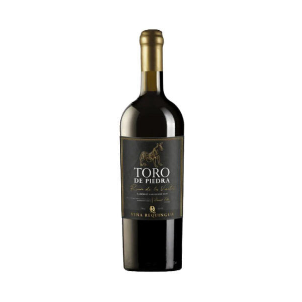 Vino Toro de Piedra Rincón de los Vientos Cabernet Sauvignon 750cc