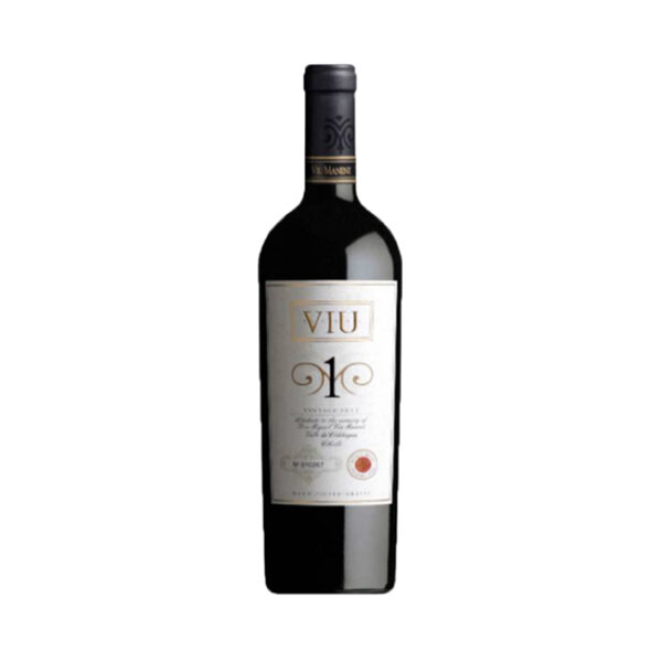 Viu Manent Viu 1 750cc