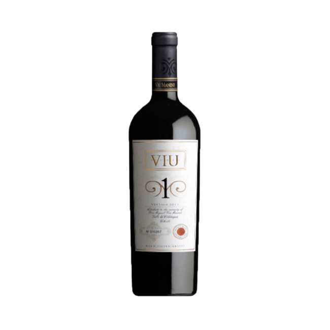 Viu Manent Viu 1 750cc
