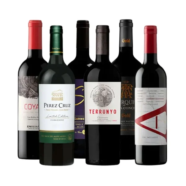 Caja de Vinos Super Premium