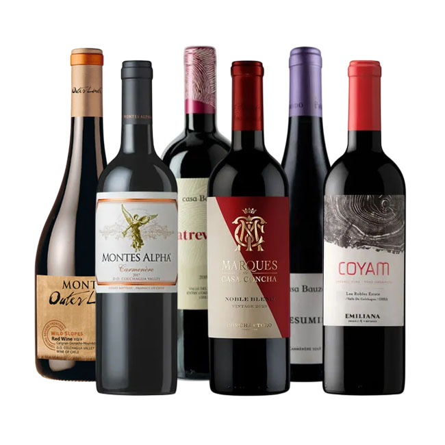Caja de los Vinos Más Vendidos