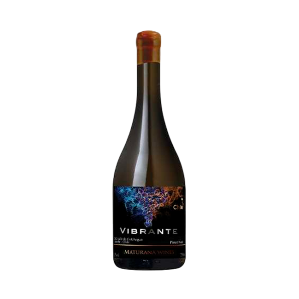 Vino Maturana Vibrante Pinot Noir 750cc