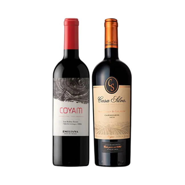 1 Coyam 750cc + 1 Casa Silva Gran Terroir Carmenere 750cc