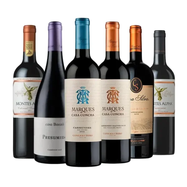 Caja de Vinos Mixta (6 Unidades)