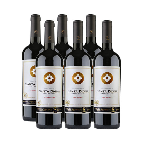 Caja Sta Digna Valle del Itata Carmenere (6 Unidades)