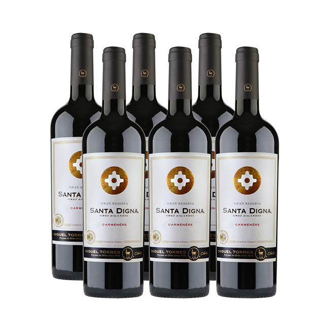 Caja Sta Digna Valle del Itata Carmenere (6 Unidades)